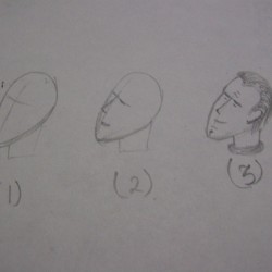 3step face