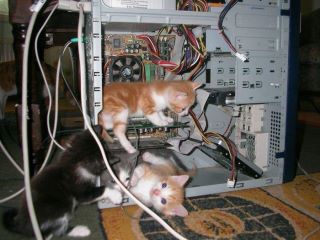 where's that mouse??