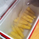 corn-cooler
